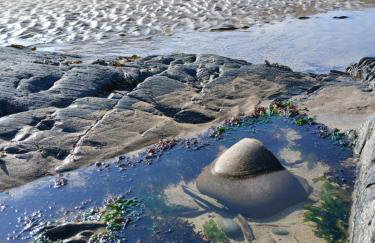 Hazel Cottage, Frithelstock - Foto 30