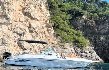 Villa Martinović - Foto 46