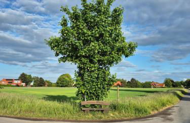 Ferienwohnung bei Nebel - Foto 26