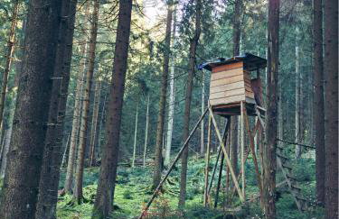 Klein Waldseele - Foto 30