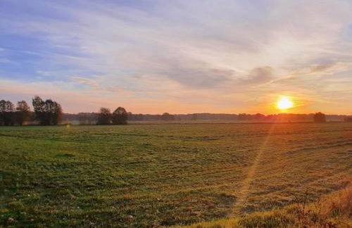 Modernes Ferienhaus nahe Spreewald-Idylle - Foto 31