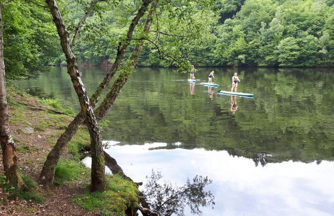 Holiday Home in La Roche With Sauna & Nature - Photo 40