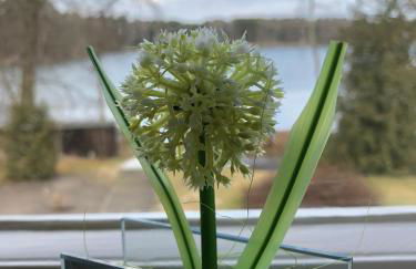 Villa Seeidyll - Foto 54