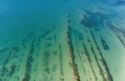 Honey Cottage - Photo 17