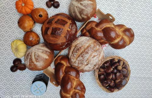 Domaine des Prés de Joussac - Entre Estuaire et Océan - Foto 19