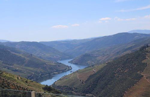 Socalcos do Douro House - Foto 10