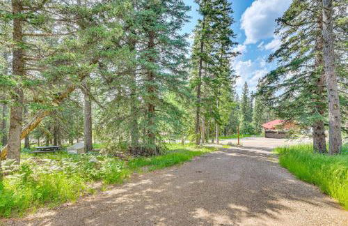 Scenic Lead Cabin Steps to Terry Peak Ski Area! - Foto 27
