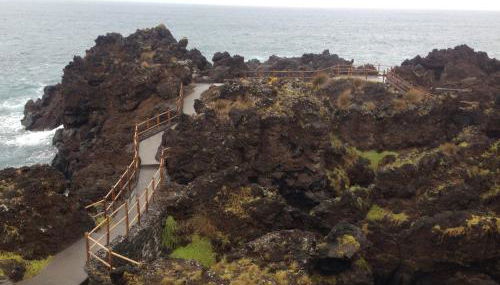 AL - Adega do Terra - Photo 5