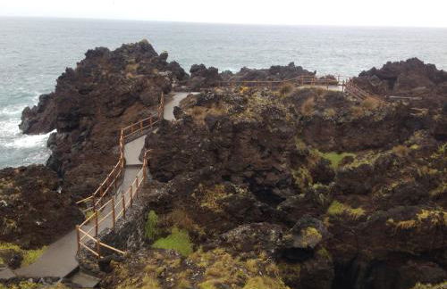 AL - Adega do Terra - Photo 5