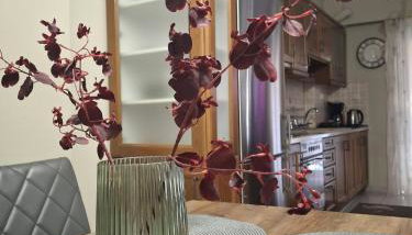 Central Home - Foto 1