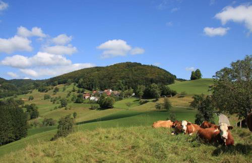 Ferienwohnung 'auf dem Burstel' - Photo 20