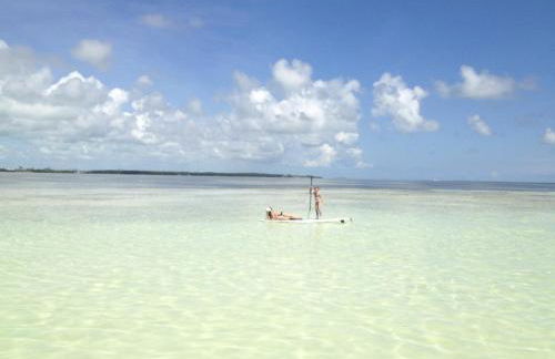 Anglers Reef Islamorada 2BR 3BA Oceanview Home in Gated Community With Resort Style Pool, Private Beach and Marina - Foto 29
