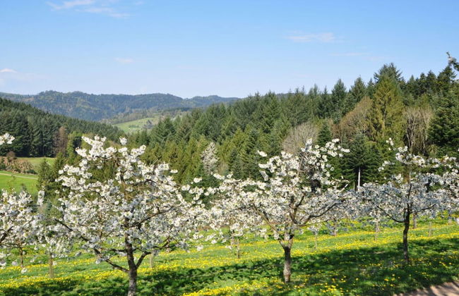 Pleasant Apartment in Zell am Harmersbach - Foto 13