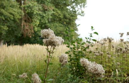 Marina Maisonette Seeblick mit Pool und Sauna - Photo 54