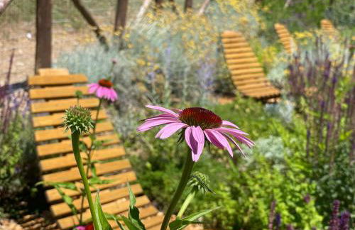 VILLA FELICE_UNESCO ALPS AREA - Foto 15