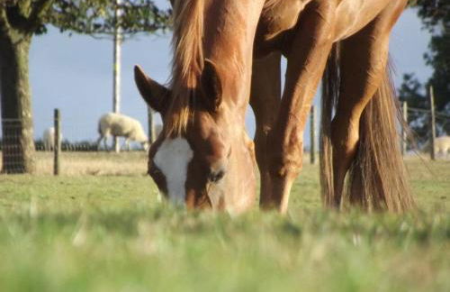 Whitchurch Farm Guesthouse - Foto 33