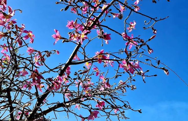 Etna Panoramic Villa With Swimming Pool - Foto 21