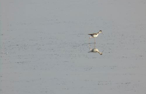 Porta dei Mari - Foto 52