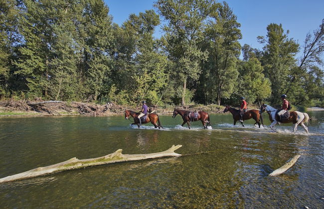 Holiday House Podhamer Boris With Private Wellness - Foto 43