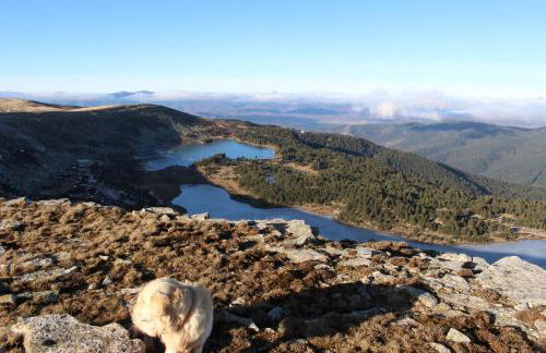 El nido del Mirlo - Foto 47