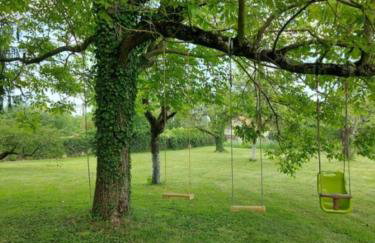 Crisoline - Foto 27
