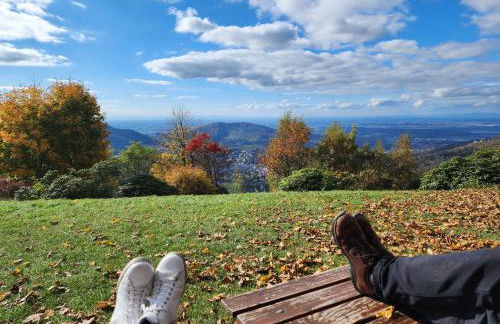 Schwarzwald-Ferienwohnungen Begert - Foto 57