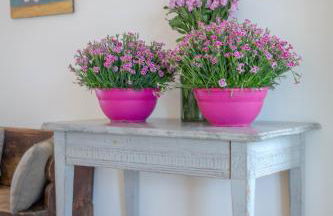 Deichgraf 3 - Foto 6