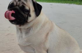 Feriasmares - Photo 28