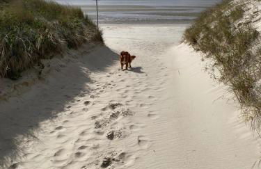 Kapitänshaus von 1712 - neu saniert - Foto 15