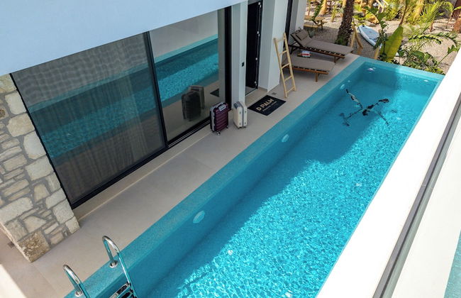 D Palm Premium Living - Foto 69