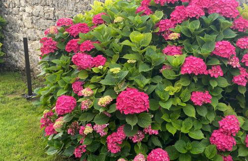 Casa LA BARQUERA -reserva para entablar conversación- - Foto 20