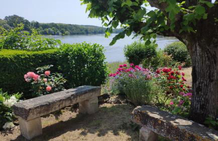 Location maison de vacances Sancerre - Foto 17