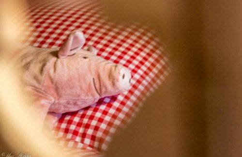 Ferienhaus Rote Sau - Foto 39