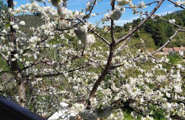 House in the Forest - Foto 33