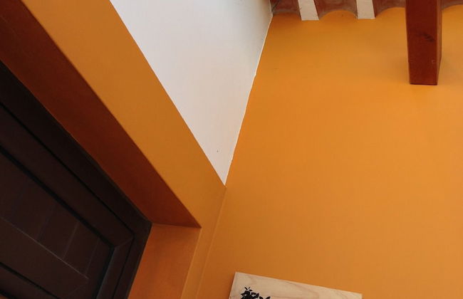 Tons da Terra - Foto 7