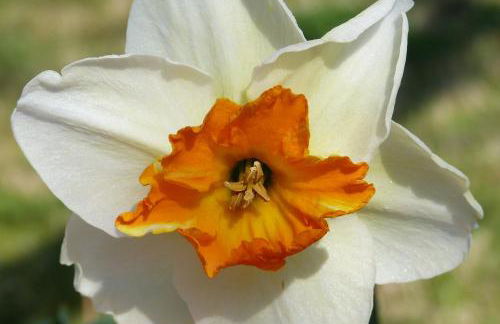 Casa vacanze Ester - Photo 53