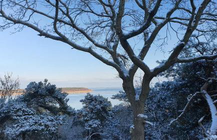 Haus am Meer bitte sehr ! - Foto 19