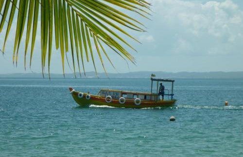 Abelha & Peixe Boi - Photo 17