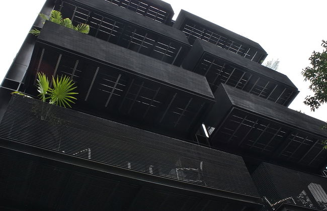 MX Grand Suites - Foto 56