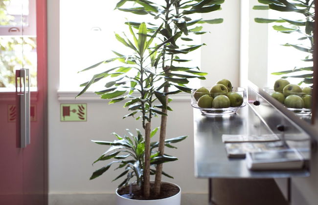 Be Mate Casa di Bava - Foto 64