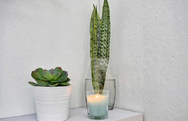 Vista Mar, a Home in Madeira - Foto 26