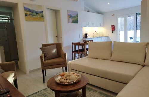 20 Casa da Aldeia - Foto 10