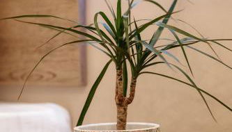 The Clock House - Photo 2