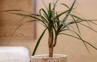 The Clock House - Photo 2