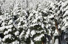 Loft Relajante Est esquí La Pinilla - Foto 32