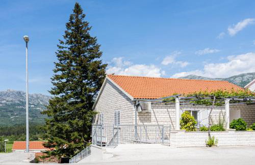 Bokarica Apartments - Photo 3