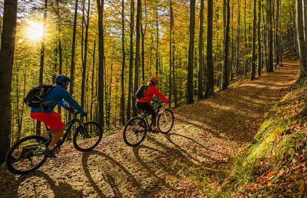 Villa Berenice House and Relax - Foto 28