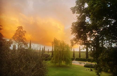 Ghiaccio Bosco - Foto 41