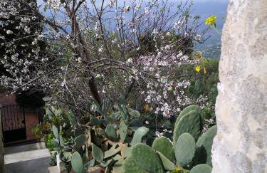 Casa Opuntia - Foto 51