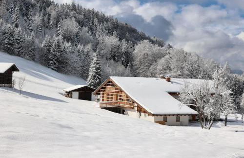Antenbichllehen Ferienwohnungen - Foto 8